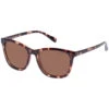 Parklea Sunglasses - Tort