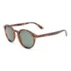 Biboohra Sunglasses - Dark Tort