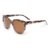 Calwell Sunglasses - Charcoal