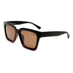 Springwood Sunglasses - Tort